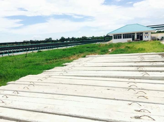 ปั้นจั่นโคราช -นครราชสีมา 093-5596627 สระบุรี ชัยภูมิ ขอนแก่น