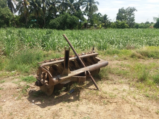 ขาย690000บาท6640(4&times;4)คานนิวปี96เล่มพร้อมโอน0810076640