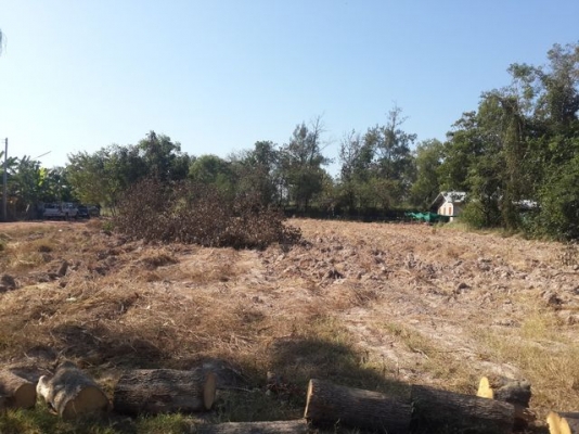 ที่ดินในชุมชน สวยๆ ที่ดินในชุมชน สวยๆ