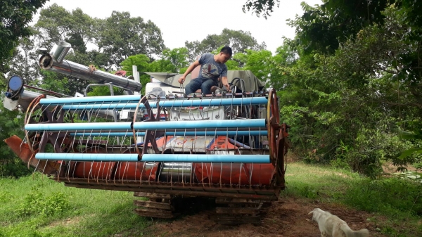 ขายรถเกี่ยวข้าว