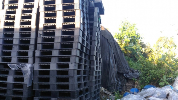 ขายพาเลทมือสองคละเกรด ของมีจำนวนมาก