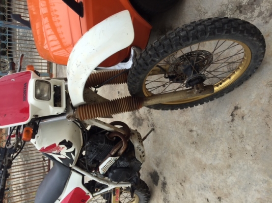 ขาย HONDA XR250 ขาย HONDA XR250