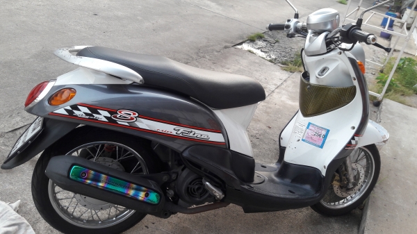 fino ปี 51