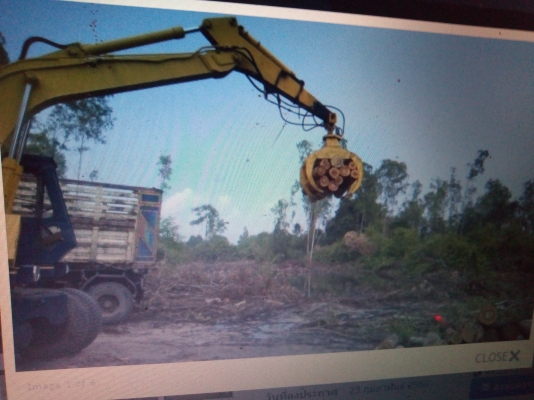 ขายมือคีบเอนกประสงค์พ่วงเลื่อยตัดได้