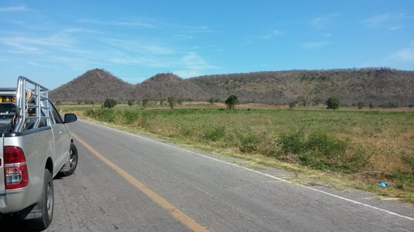 ขายที่ดินมีโฉนด อ.โคกสำโรง จ.ลพบุรี