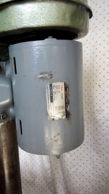 King คอยาว