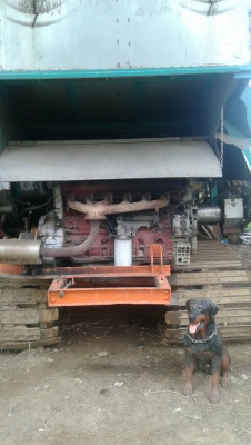 ขายรถเกี่ยวข้าวพร้อมรถเทเลอร์