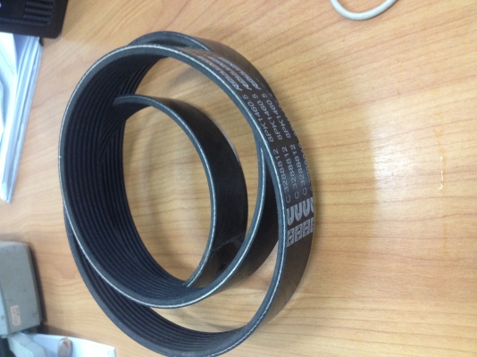 สายพานหน้าเครื่องคัมมิ้น 6 BT 5.9 L ของแท้ สายพานหน้าเครื่องคัมมิ้น 6 BT 5.9 L ของแท้