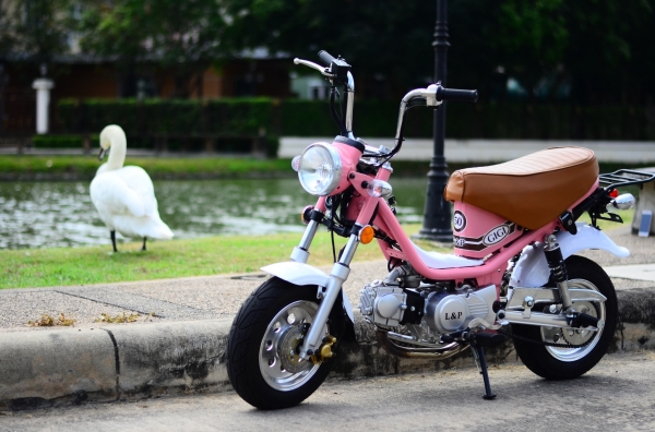 GIGI (สีชมพู) ลดราคาจากปกติราคา28800 แต่วันนี้เราขายตามสภาพรถค่ะในราคา19999 บาทค่ะ