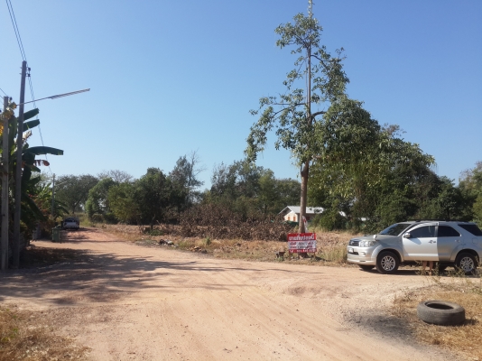 ที่ดินเปล่า สวยๆ ที่ดินเปล่า สวยๆ