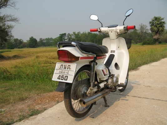 ดรีม คุรุสีขาว ทบ.เต็ม+พร้อมโอน