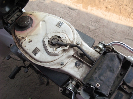 ดรีม คุรุสีขาว ทบ.เต็ม+พร้อมโอน