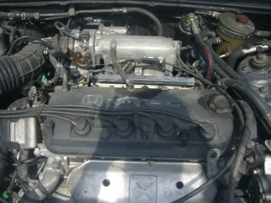 ขาย HONDA แอคคอด ตราเพชร ขาย HONDA แอคคอด ตราเพชร