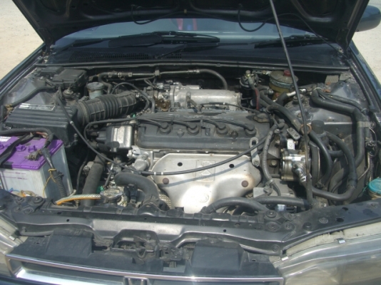 ขาย HONDA แอคคอด ตราเพชร ขาย HONDA แอคคอด ตราเพชร