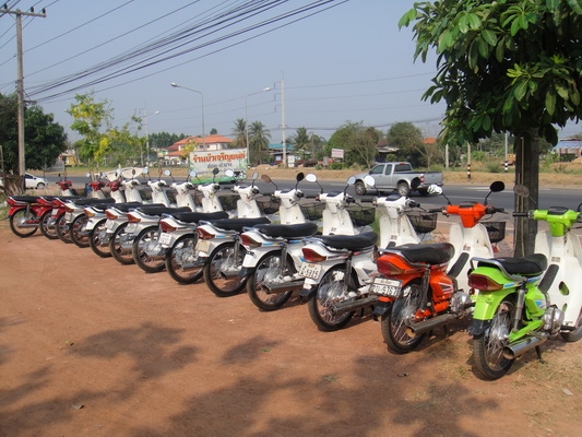 ขายฮอนด้าดรีม คุรุสภา สภาพสวยพร้อมใช้งาน (ทะเบียนพร้อมชุดโอน ) มีรถให้เลือก 35 คัน ขายฮอนด้าดรีม คุรุสภา สภาพสวยพร้อมใช้งาน (ทะเบียนพร้อมชุดโอน ) มีรถให้เลือก 35 คัน