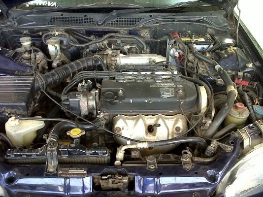 ขายด่วน ขายตัด เล่มพร้อม ขายด่วน ขายตัด เล่มพร้อม