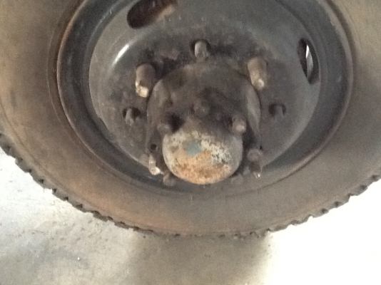 หางพว่ง