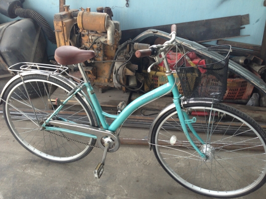 ต้นlove bicycle#005 ต้นlove bicycle#005