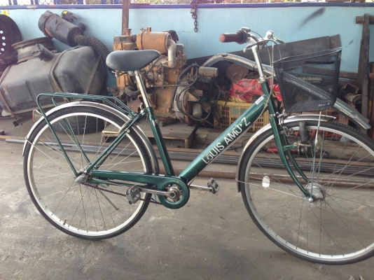 ต้นlove bicycle#005 ต้นlove bicycle#005