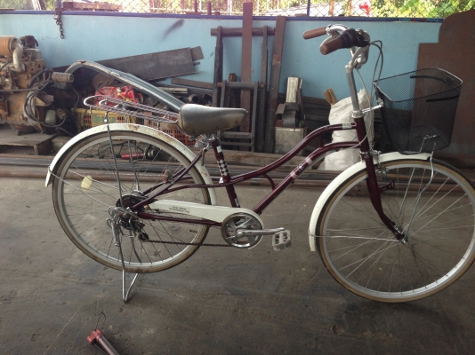 ต้นlove bicycle#005