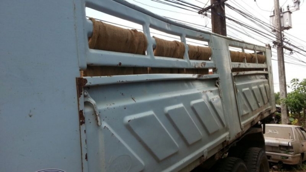 ( ขายตามสภาพ ) รถอิซูซุ 10 ล้อดั๊ม 240 แรงม้า  ( นางฟ้าแท้ )  สนใจติดต่อ 081 - 6079515