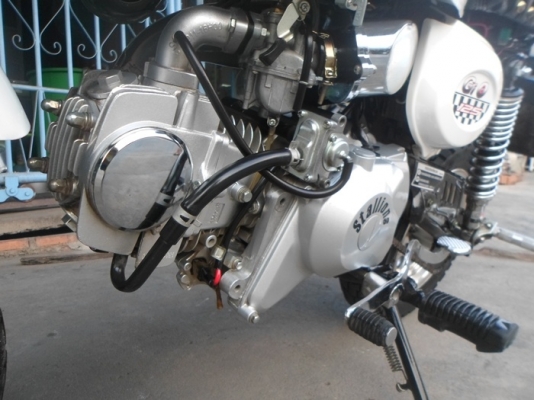 ขายMINI 125CCมีทะเบียนโอนได้ปี54สวยสวย ไมล์วิ่ง4000โลรถไม่ค่อยได้ใช้ สนใจสอบถามกันเลยคนขายใจดีนะครับ คู่มือชุดโอนครบครับ