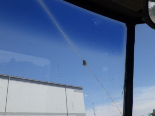 ขายรถตัก ยี่ห้อTCM รุ่นE835 ขายรถตัก ยี่ห้อTCM รุ่นE835