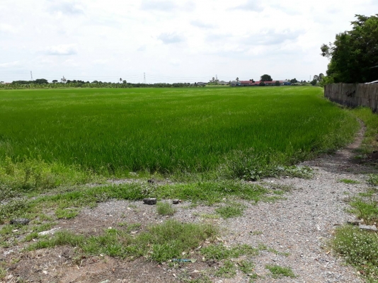 ขายด่วนๆ