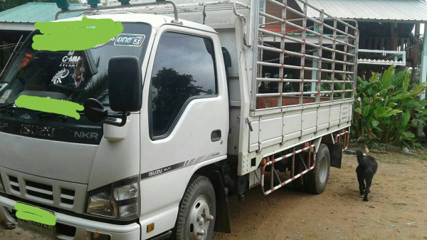 ขายด่วน ISUZU NKR 71LY ปี50 130 TURBO วิ่ง 72xxxกม. รถสวย เดิมบางทั้งคัน ภายในเรียบร้อย คัชชีสวยทั้ง