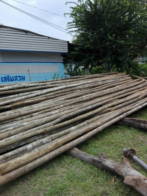 ขายไม้สักทอง ราคาถูกสุดๆ 0819475613