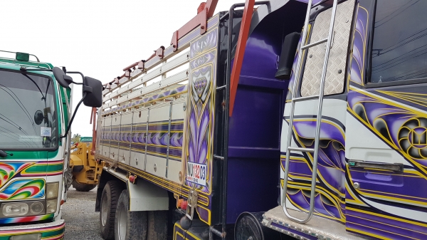 ขาย240นางฟ้ารถวิ่งอ้อยพร้อมใช้2เพลา ขาย240นางฟ้ารถวิ่งอ้อยพร้อมใช้2เพลา