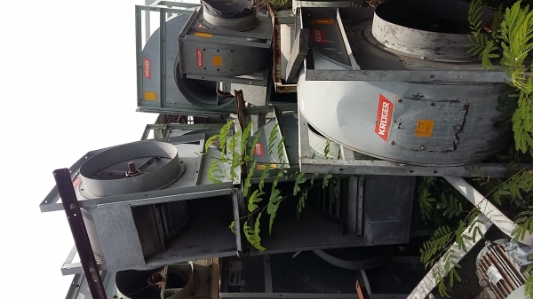 ขาย พัดลมโบว์เวอร์ KROGER  มือสอง มีหลายขนาด สภาพสวยๆค่ะ