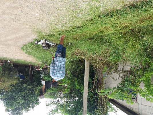ขายเครื่องตัดหญ้าน้ำมันรถเข็น