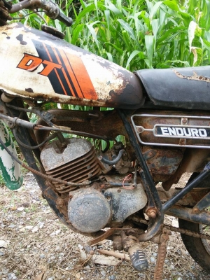 dt558  ทะเบียนโอน