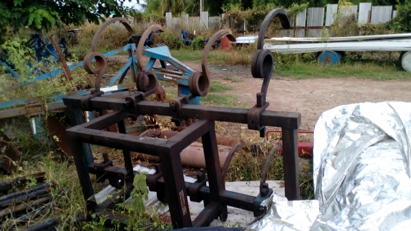 คาดสปริง เกราร่องอ้อย