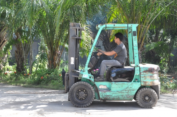ขายFORKLIFT MITSUBISHI FD20ดีเซล สุดสวย(2ตัน) งายาว สวยเดิมจากญี่ปุ่น ยังไม่เคยใช้ในไทย 165,000เท่านั้น!!