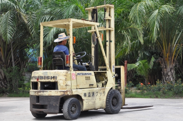 ขายFORKLIFT MITSUBISHI FD15ดีเซล สุดสวย(1.5ตัน) เสาสูง4เมตร สวยเดิมจากญี่ปุ่น ยังไม่เคยใช้ในไทย 168,000เท่านั้น!!