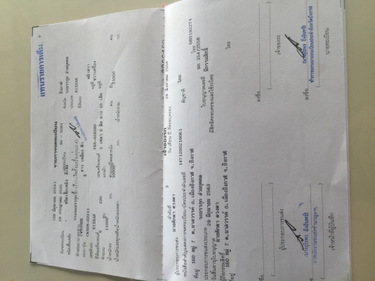 CW30M2เพลาขึ้น200 เครน5ตัด