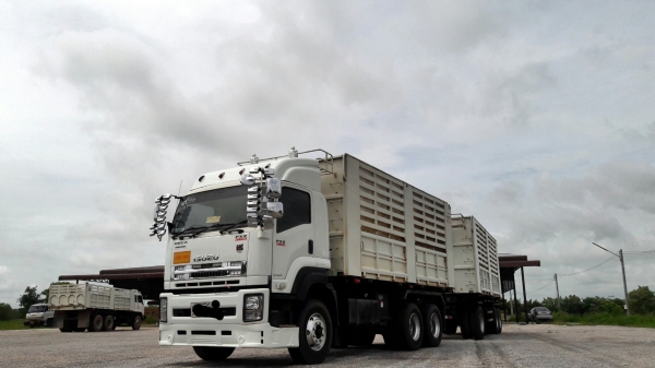 ขายครับ ISUZU 360 แรงม้าปี 56ปลายปี แม่+ลูกดั้ม เกษตรรถสวยพร้อมใช้งาน ยาง80\% ทุกเส้นครับ