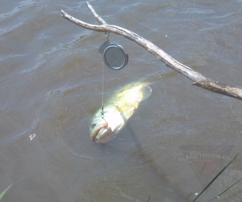 อุปกรณ์ยังชีพ US. AUTO FISHING REEL (เบ็ดราวอัตโนมัติจากอเมริกา)
