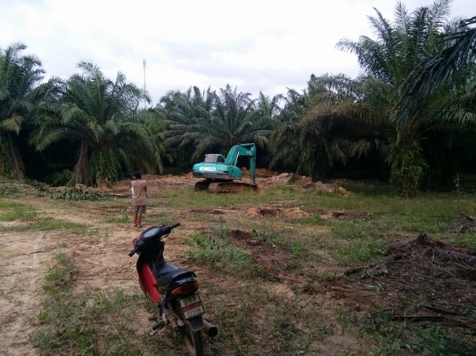 ขายรถแบคโฮ KOBELCO SK200 Mark 5 สภาพดี ระบบการทำงานดี ระบบไฟฟ้าเต็มทุกระบบ ขายรถแบคโฮ KOBELCO SK200 Mark 5 สภาพดี ระบบการทำงานดี ระบบไฟฟ้าเต็มทุกระบบ