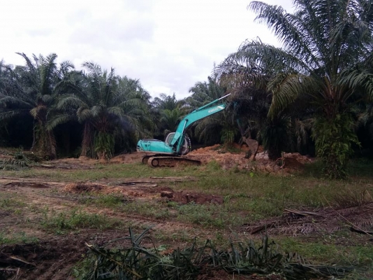ขายรถแบคโฮ KOBELCO SK200 Mark 5 สภาพดี ระบบการทำงานดี ระบบไฟฟ้าเต็มทุกระบบ ขายรถแบคโฮ KOBELCO SK200 Mark 5 สภาพดี ระบบการทำงานดี ระบบไฟฟ้าเต็มทุกระบบ