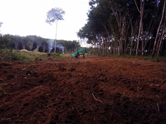 ขายรถแบคโฮ KOBELCO SK200 Mark 5 สภาพดี ระบบการทำงานดี ระบบไฟฟ้าเต็มทุกระบบ