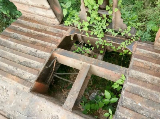 หางโลเบต