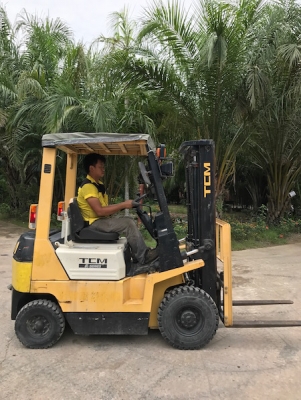 ขายFORKLIFT TCM FG15N17 เกียร์AUTO(1.5ตัน) เสา3เมตร สวยเดิมจากญี่ปุ่น ยังไม่เคยใช้ในไทย 125,000เท่านั้น!! ขายFORKLIFT TCM FG15N17 เกียร์AUTO(1.5ตัน) เสา3เมตร สวยเดิมจากญี่ปุ่น ยังไม่เคยใช้ในไทย 125,000เท่านั้น!!
