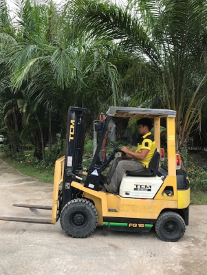 ขายFORKLIFT TCM FG15N17 เกียร์AUTO(1.5ตัน) เสา3เมตร สวยเดิมจากญี่ปุ่น ยังไม่เคยใช้ในไทย 125,000เท่านั้น!! ขายFORKLIFT TCM FG15N17 เกียร์AUTO(1.5ตัน) เสา3เมตร สวยเดิมจากญี่ปุ่น ยังไม่เคยใช้ในไทย 125,000เท่านั้น!!