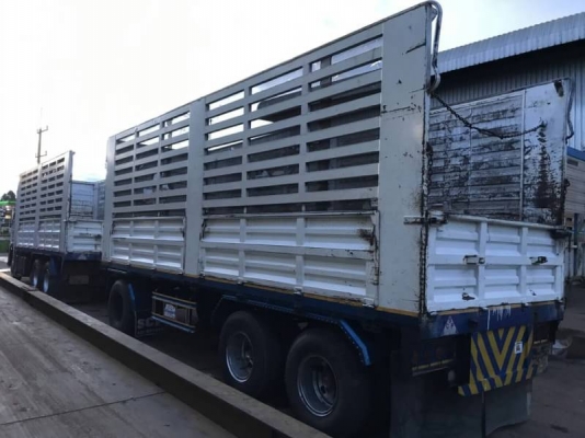 ขายด่วน แม่ลูกพ่วง HINO MEGA 344 แม่ลูกไม่ดั้ม ปี54 สภาพพร้อมใช้งาน เครื่อง เกียร์ดี คัชชีสวย ยางพร้ ขายด่วน แม่ลูกพ่วง HINO MEGA 344 แม่ลูกไม่ดั้ม ปี54 สภาพพร้อมใช้งาน เครื่อง เกียร์ดี คัชชีสวย ยางพร้
