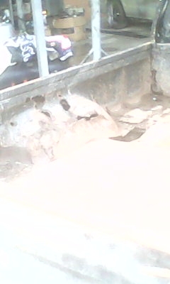 ขายกะบะไมตี๊ปี90ขับดีเครื่องช่วงล่างOKรถไม่สวย ผุ ภาษีขาด ตามสภาพ49000ขับกลับได้เลยคับ