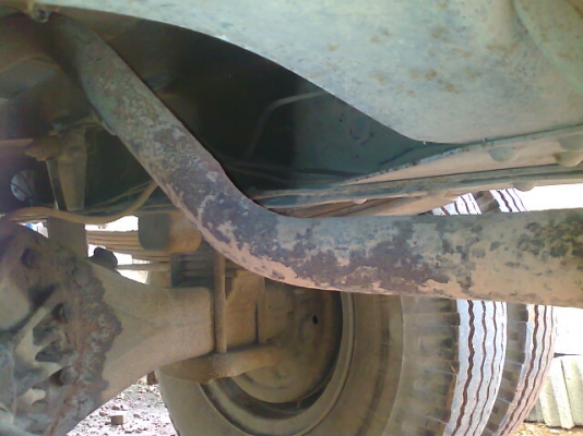 ขายCHETAH ขายCHETAH