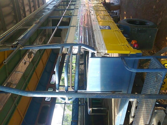 ขายCHETAH ขายCHETAH